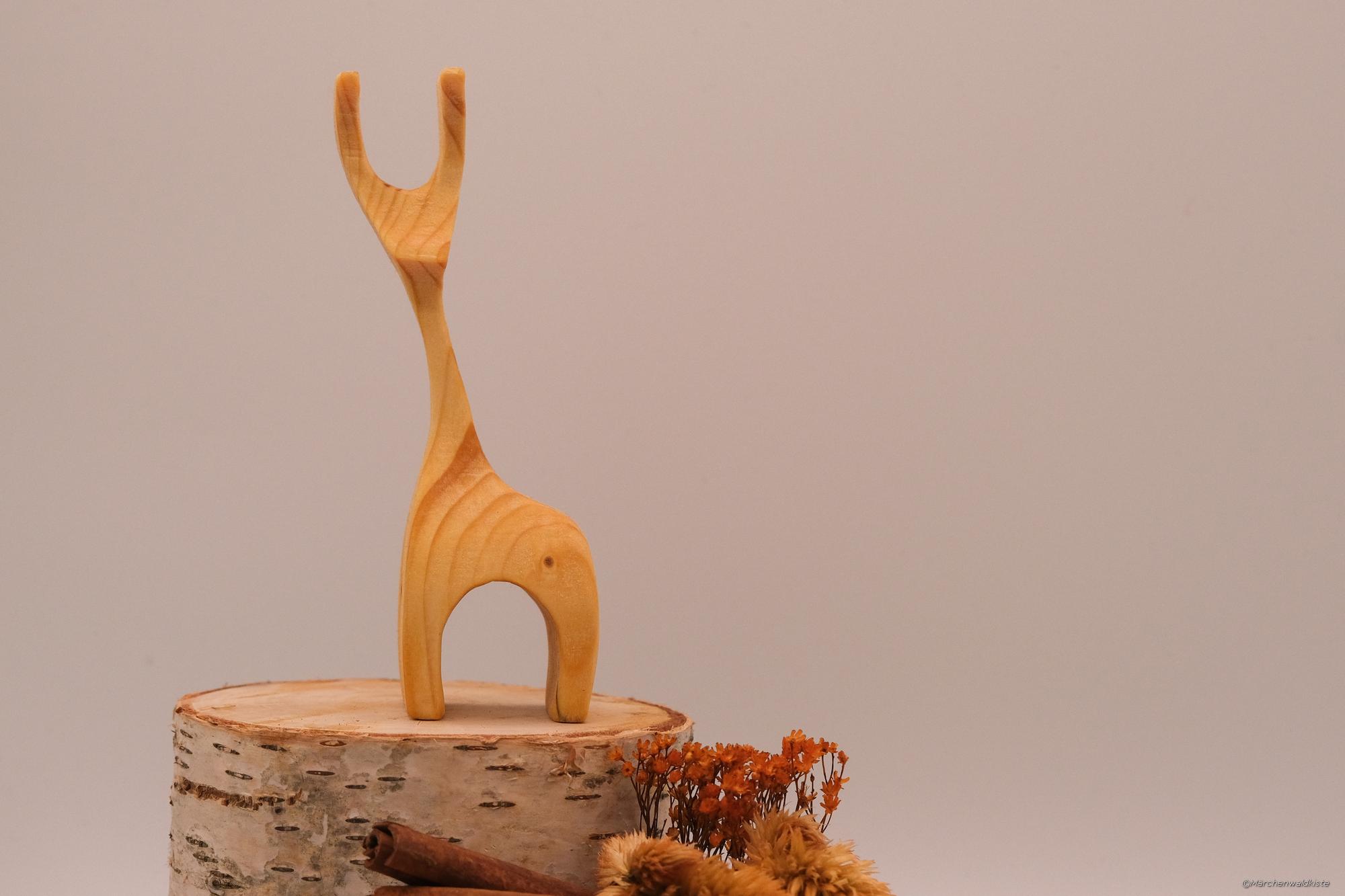 Fichtel-01 – Bild 2