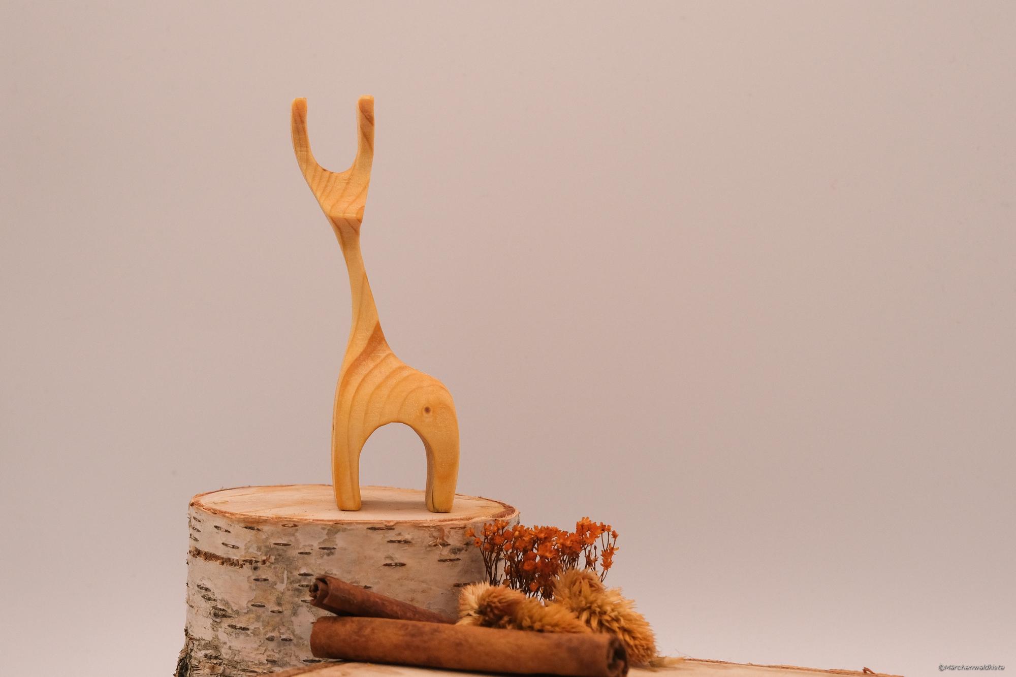 Fichtel-01 – Bild 3