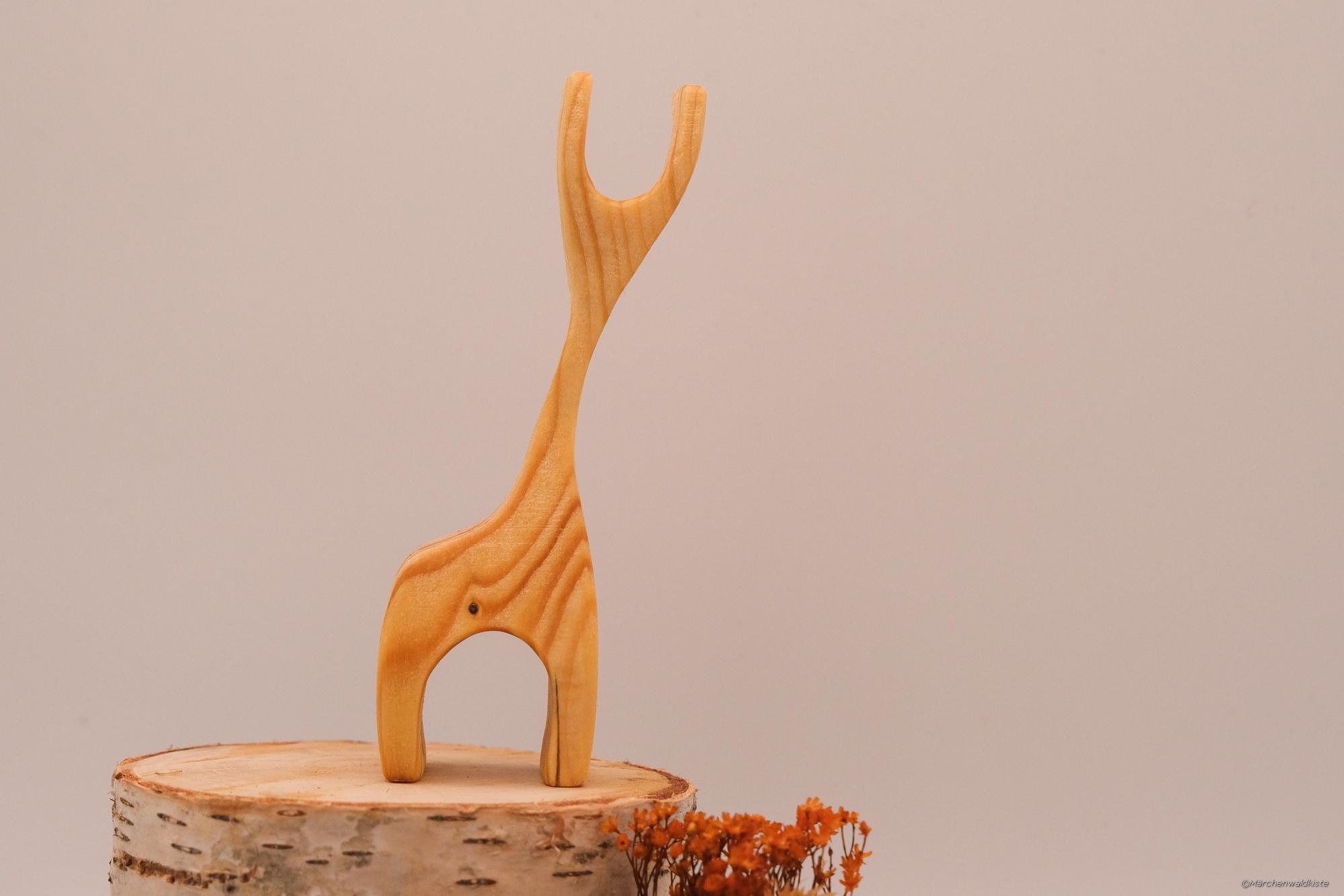 Fichtel-01 – Bild 5